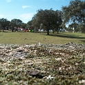 2009_portugal 260